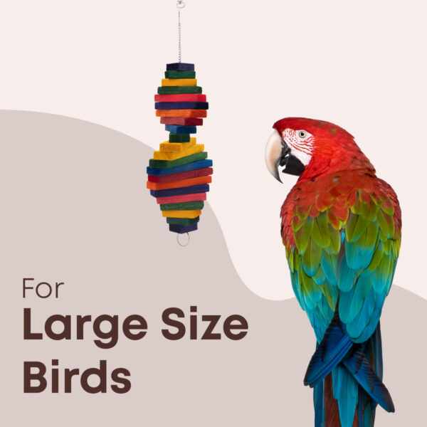 Large Rhombus-Shaped Multistrip Coloured Chew Toy - Image 4