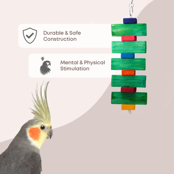Coloured Square Block Chew Toy - Image 5