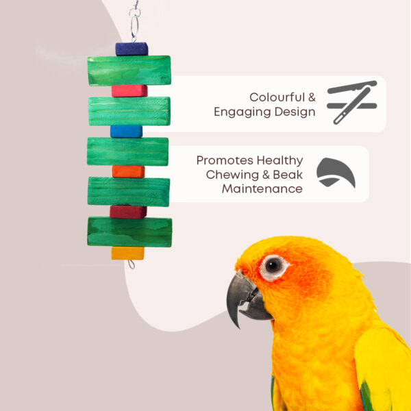Coloured Square Block Chew Toy - Image 6